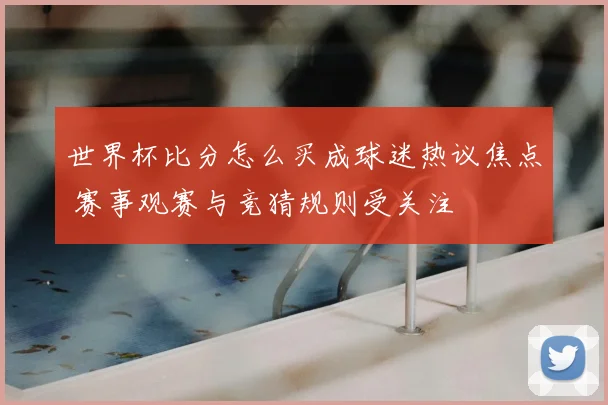 世界杯比分怎么买成球迷热议焦点 赛事观赛与竞猜规则受关注