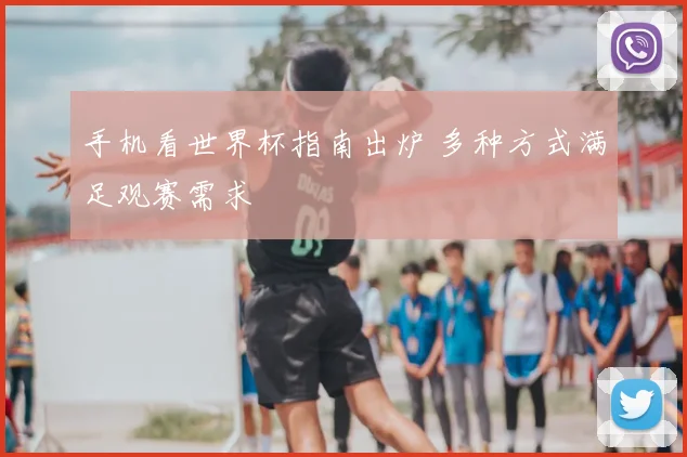 手机看世界杯指南出炉 多种方式满足观赛需求