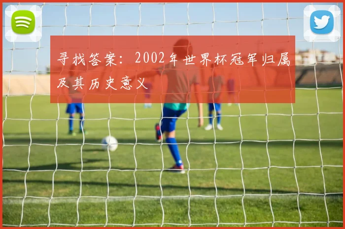 寻找答案：2002年世界杯冠军归属及其历史意义